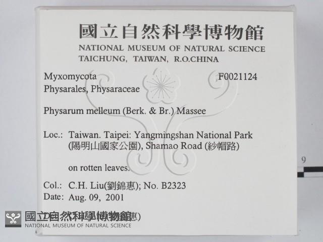 登錄號:F0021124藏品圖，第2張