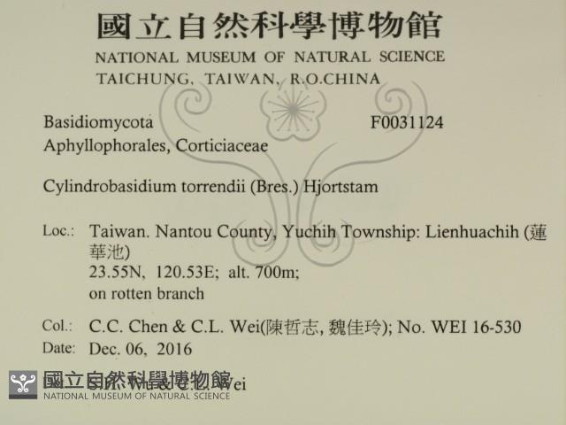 登錄號:F0031124藏品圖，第2張
