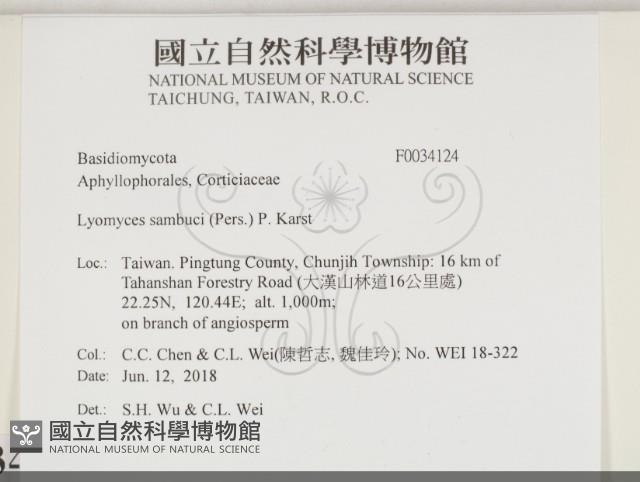 登錄號:F0034124藏品圖，第2張