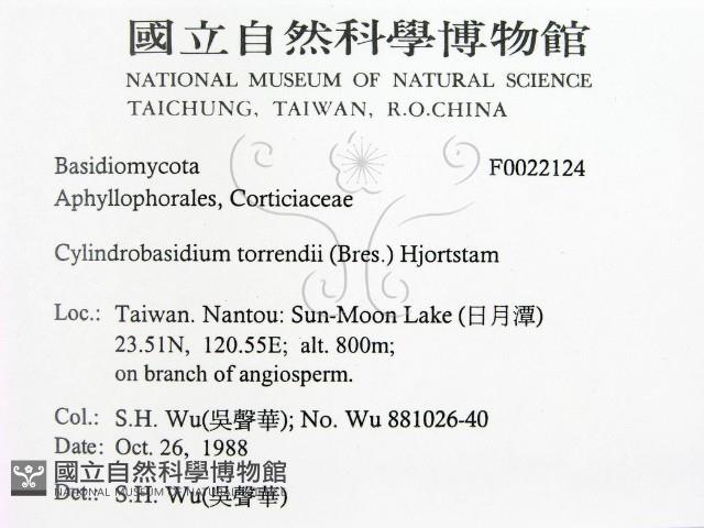 登錄號:F0022124藏品圖，第2張