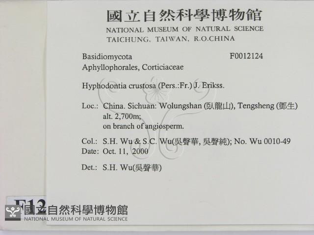 登錄號:F0012124藏品圖，第2張