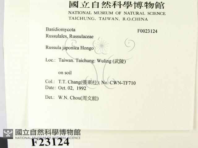 登錄號:F0023124藏品圖，第2張