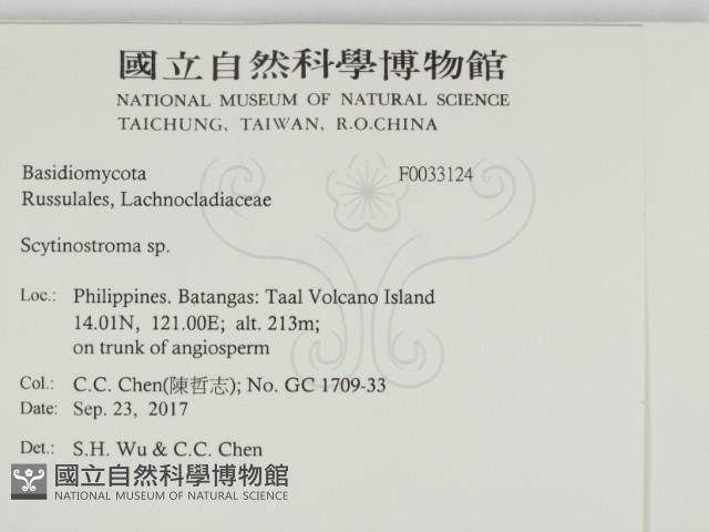 登錄號:F0033124藏品圖，第2張