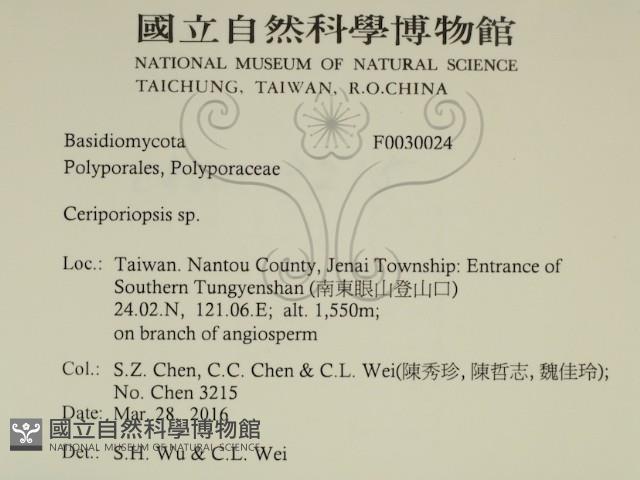 登錄號:F0030024藏品圖，第2張