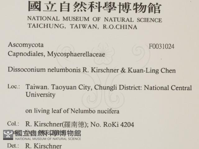 登錄號:F0031024藏品圖，第2張