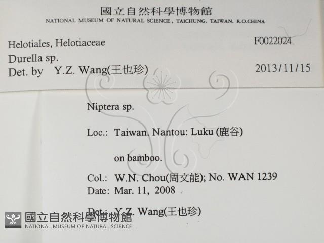 登錄號:F0022024藏品圖，第2張
