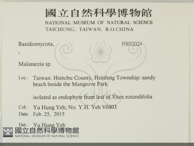 登錄號:F0032024藏品圖，第2張