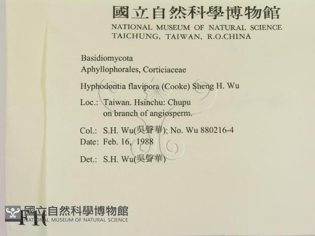 登錄號:F0010324藏品圖，第2張