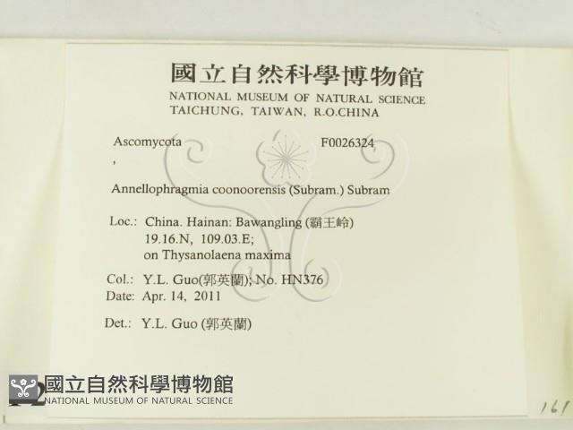 登錄號:F0026324藏品圖，第2張