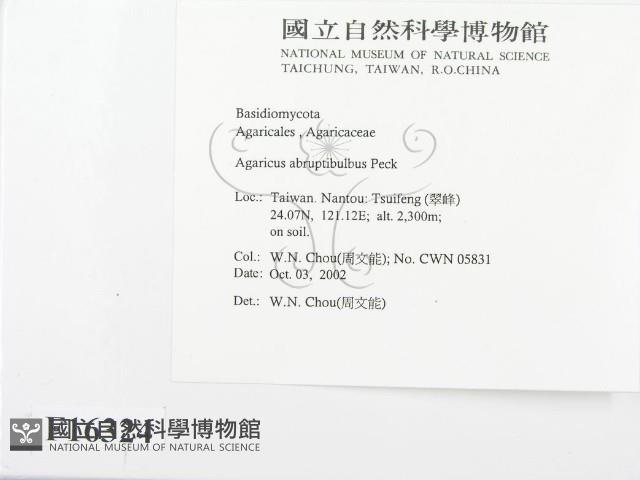 登錄號:F0016324藏品圖，第2張