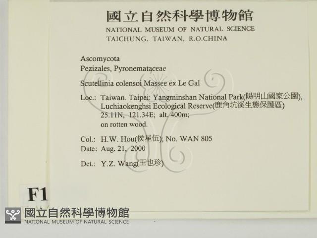 登錄號:F0011324藏品圖，第2張