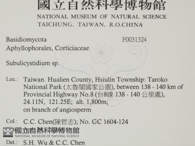 登錄號:F0031324藏品圖，第2張