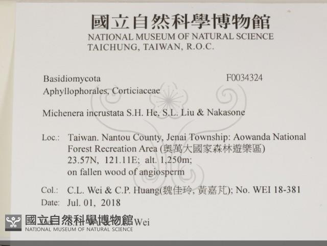 登錄號:F0034324藏品圖，第2張