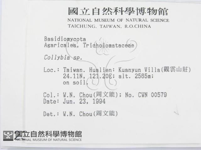 登錄號:F0002324藏品圖，第2張