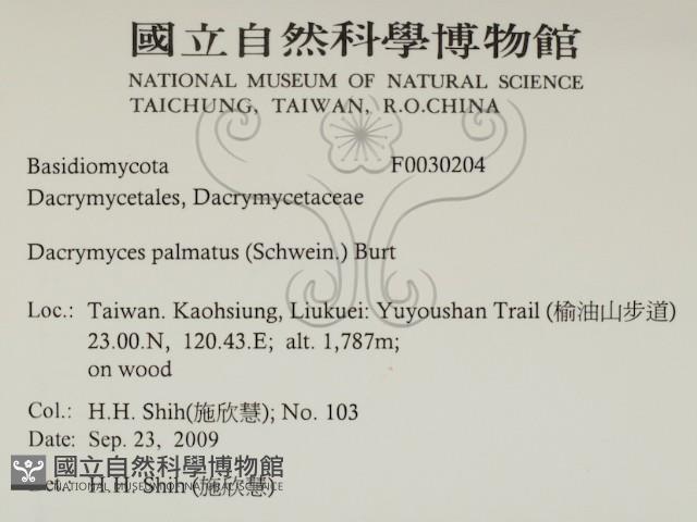 登錄號:F0030204藏品圖，第2張