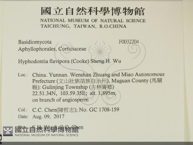 登錄號:F0032204藏品圖，第2張