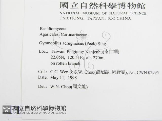 登錄號:F0010804藏品圖，第2張