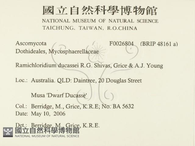 登錄號:F0026804藏品圖，第2張