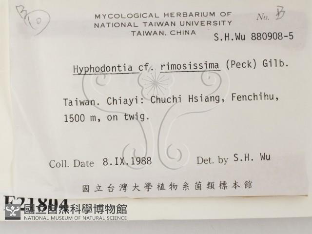 館號:F0021804藏品圖，第2張