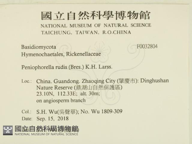 登錄號:F0032804藏品圖，第2張