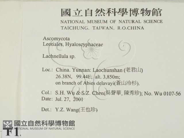 登錄號:F0013804藏品圖，第2張