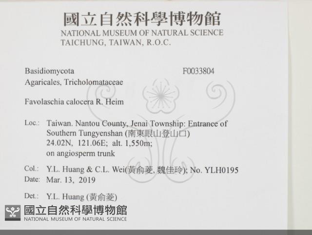 登錄號:F0033804藏品圖，第2張