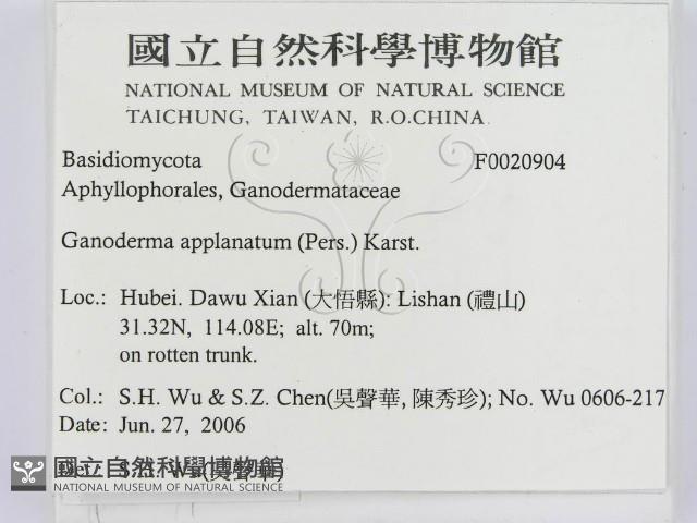 登錄號:F0020904藏品圖，第2張