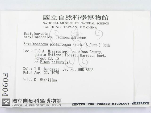 登錄號:F0000904藏品圖，第2張