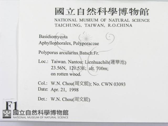 登錄號:F0010904藏品圖，第2張