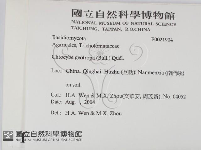 登錄號:F0021904藏品圖，第2張