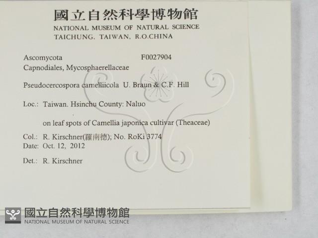 登錄號:F0027904藏品圖，第2張