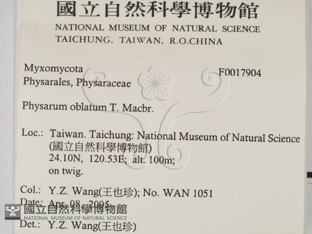 登錄號:F0017904藏品圖，第2張