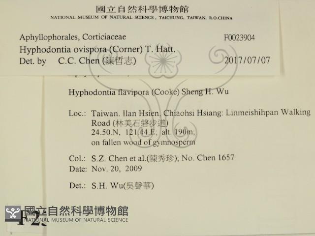 登錄號:F0023904藏品圖，第2張