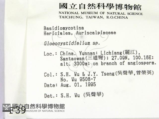 登錄號:F0003904藏品圖，第2張