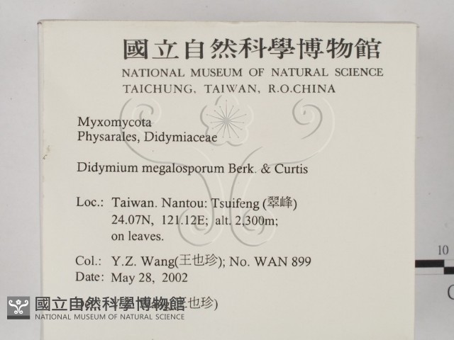 登錄號:F0013904藏品圖，第2張