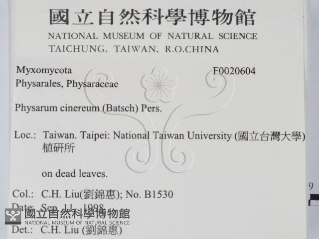 登錄號:F0020604藏品圖，第2張