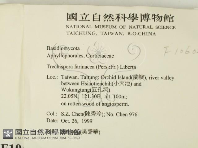 登錄號:F0010604藏品圖，第2張