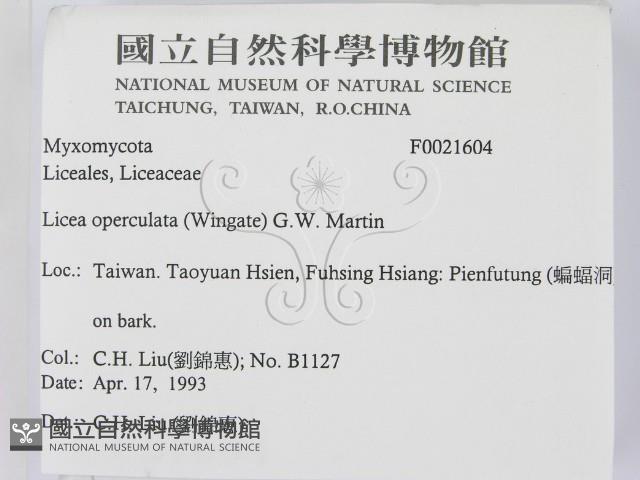登錄號:F0021604藏品圖，第2張