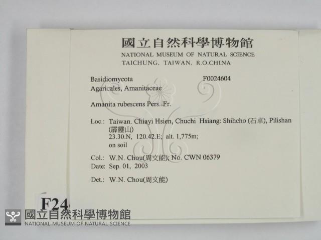 登錄號:F0024604藏品圖，第2張