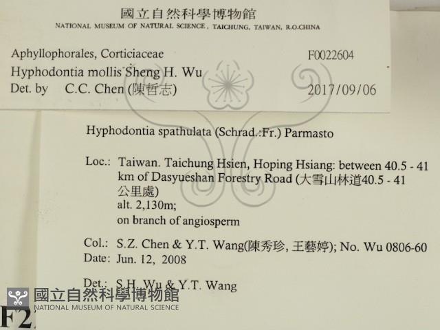 登錄號:F0022604藏品圖，第2張