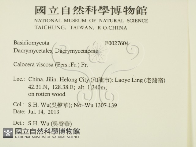 登錄號:F0027604藏品圖，第2張
