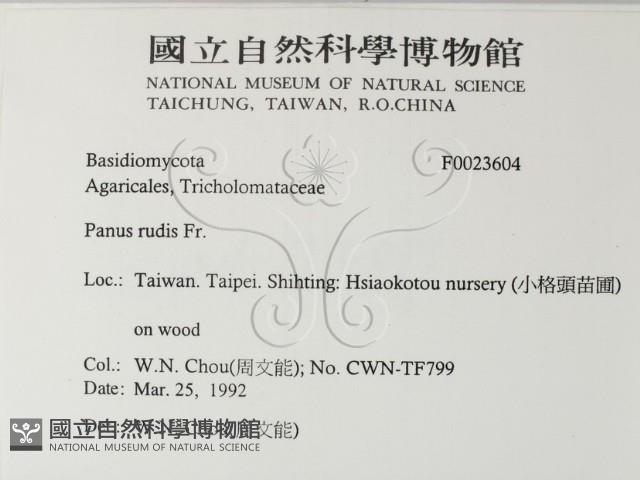 登錄號:F0023604藏品圖，第2張