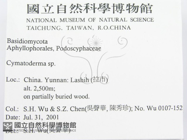 波邊革菌屬藏品圖，第2張