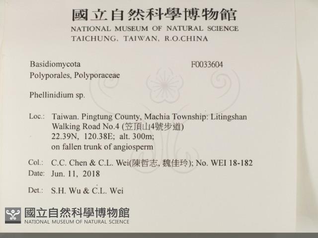 登錄號:F0033604藏品圖，第2張