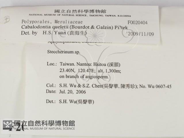 登錄號:F0020404藏品圖，第2張