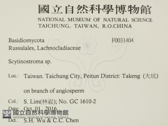 登錄號:F0031404藏品圖，第2張