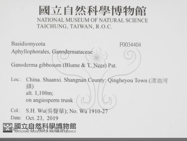 登錄號:F0034404藏品圖，第2張