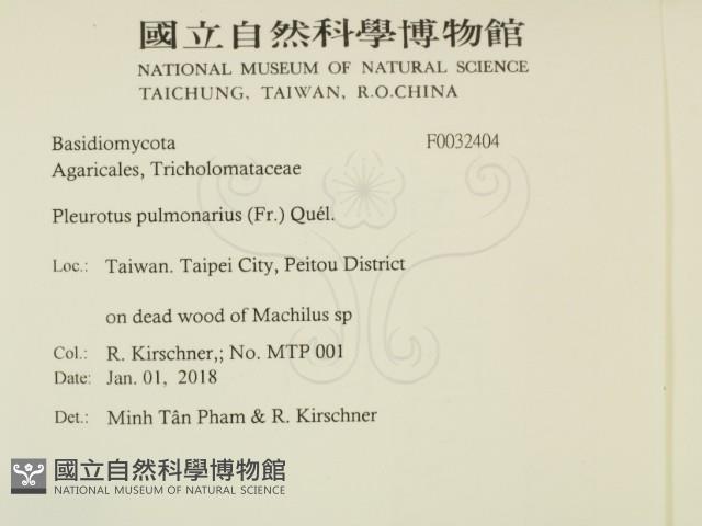 登錄號:F0032404藏品圖，第2張