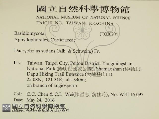 登錄號:F0030704藏品圖，第2張