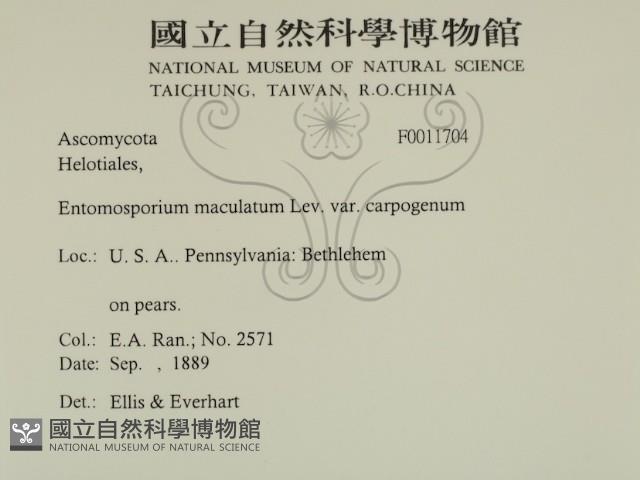 登錄號:F0011704藏品圖，第2張